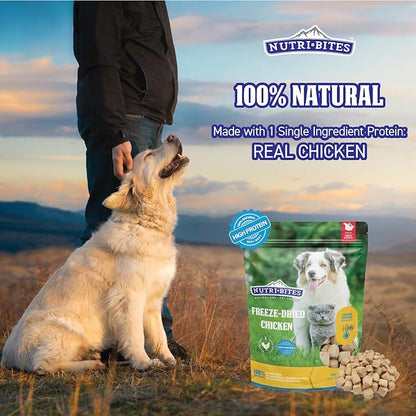 Nutri Bites Freeze Dried Chicken Liver Dog & Cat Treats, Single Ingredient High Protein Pet Treats, 15 oz