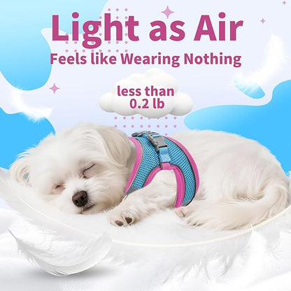 AIITLE Dog Harness, No-Pull Cat Harness with a Leash, Adjustable Reflective Dog Vest, Cat Harness Escape Proof, Outdoor Walking, Running,Training for Extra Small Dogs and House Cats Hot Pink XXXS