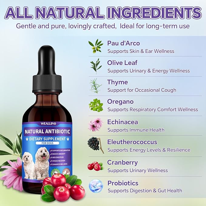 Dog Antibiotics Support - Natural Antibiotics Care for Dogs Herbal Supplement for Cough Allergy Itch Relief Immune Support Dog UTI Comfort for All Breeds & Ages - 60 ml/2 Fl Oz Bacon Flavor