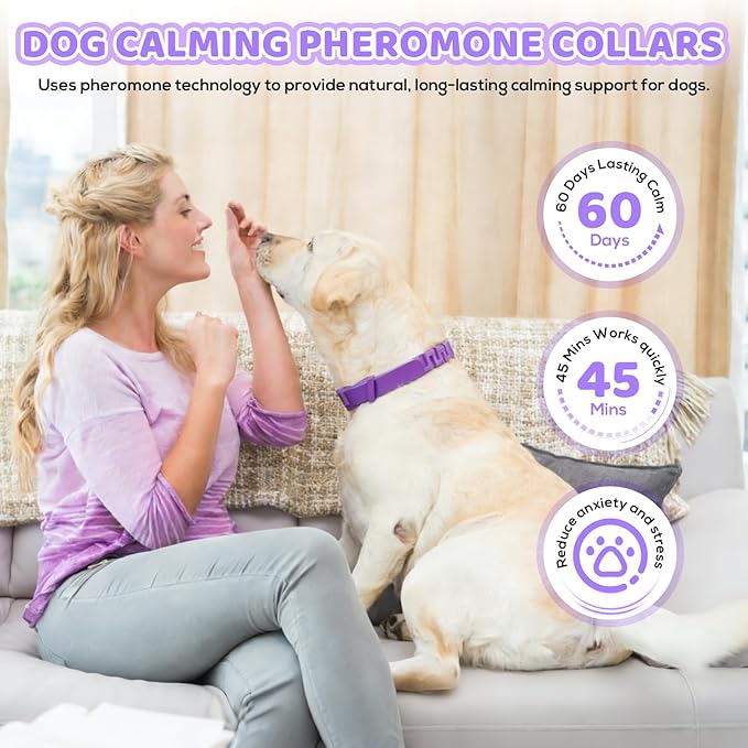Calming Collar for Dogs 4 Pack, Purple Dog Calming Collar for Anxiety & Stress Relief, Pheromone Dog Collar for Small Medium Large Dogs, Long‑Lasting 60 Days