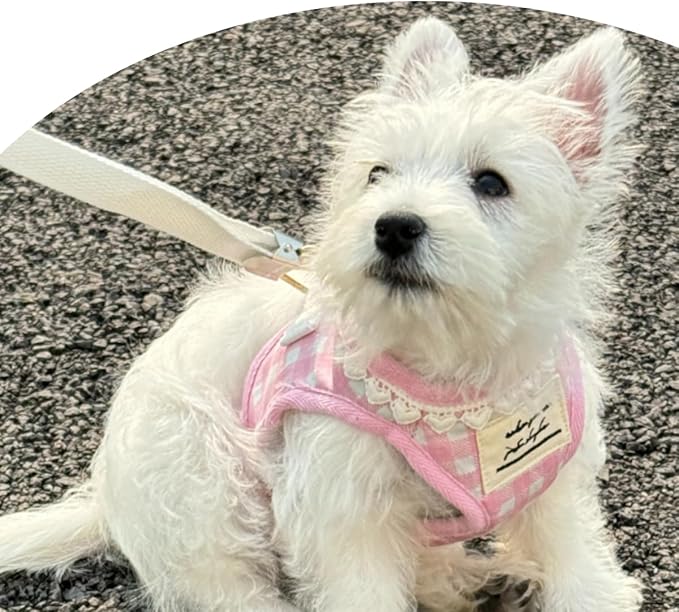 Country Chic Pet Harness and Leash Set, Gingham Pattern Breathable Mesh (Green, L(14.3-22.0 IBS)/(6.5-10 KG))