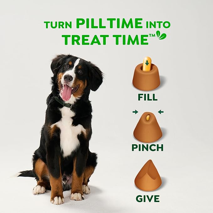 Greenies Pill Pockets for Dogs Large Size, Dog Treat Pouch for Capsule Medication, Cheese Flavor, 15.8 oz. Pouch