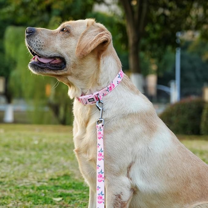 Dog Collar and Leash Set, Cute Rose Pattern, Polyester Material, 5ft Leash, for Puppy Dogs.(Extra Small,Pink Rose)