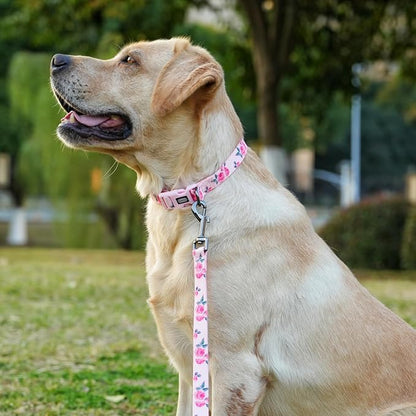 Dog Collar and Leash Set, Cute Rose Pattern, Polyester Material, 5ft Leash, for Puppy Dogs.(Extra Small,Pink Rose)