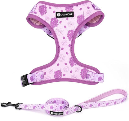 Dog Harness and Leash Set, Adjustable Dog Harness, Dog Leash, No Pull No Choke Puppy Harnesses for Walking Training for Small Medium Pet (Wines, M(Chest 15.7-22.1", Neck 12-15"))