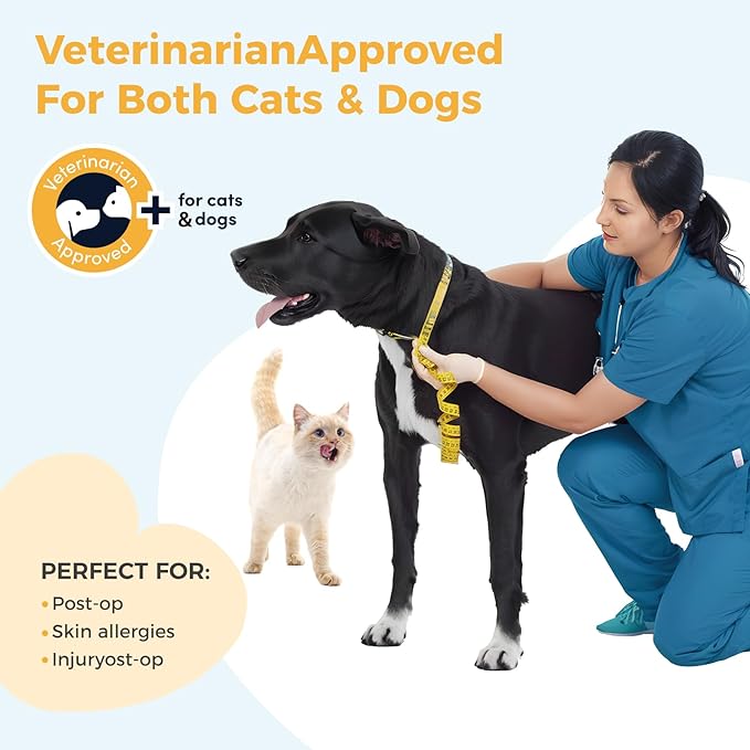 Inflatable Dog Cone for Medium Dog Designed for Comfortable Post-Surgical Recovery Ultra-Soft Comfort Unblocked View No Disruption to Dog's Daily Life