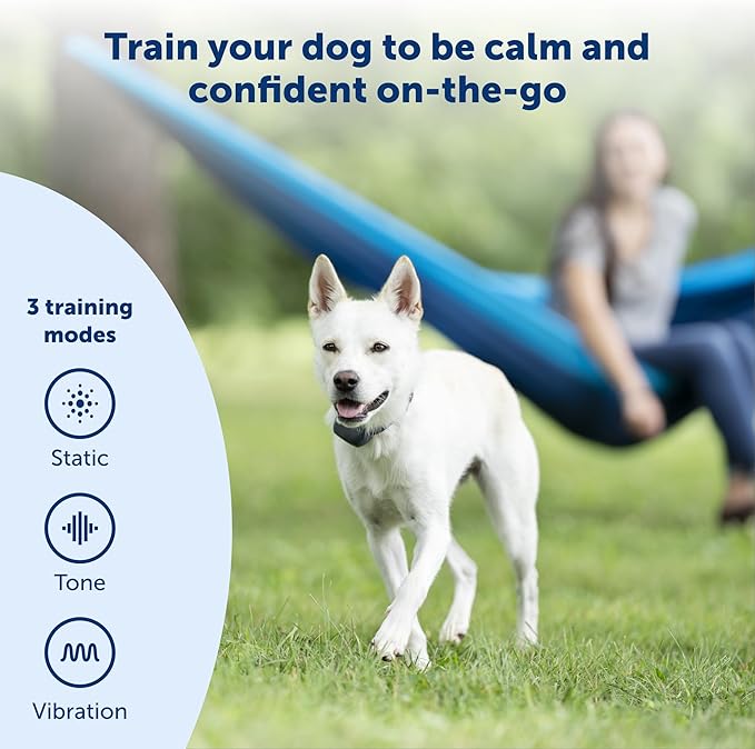 PetSafe 300 Yard Remote Training Collar – Choose from Tone, Vibration, or 15 Levels of Static Stimulation – Medium Range Option for Training Off Leash Dogs – Waterproof and Durable – Rechargeable