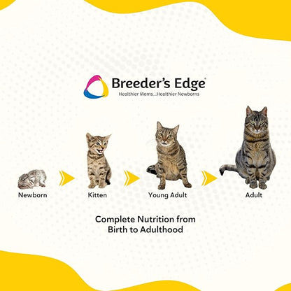 Breeder's Edge Foster Care Feline - Powdered Milk Replacer - for Kittens & Cats - 4.5 LB