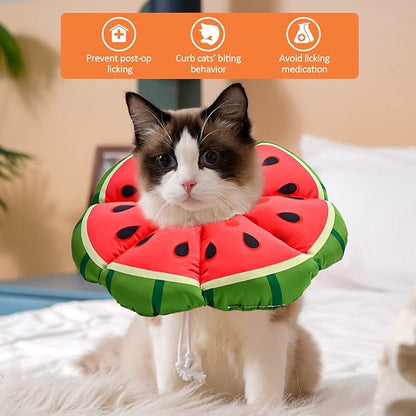 Avont Cat Cone Collar Soft, Adjustable Recovery E Collar Alternative for Cats Kittens Puppies, Elizabethan Neck Cone of Shame to Prevent Licking Biting After Surgery Protect Wounds -Melon(M)