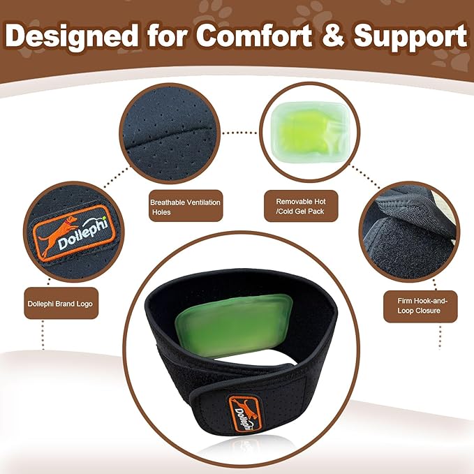 Dog Neck Brace with Hot/Cold Compress, Cervical Spine Support Collar for Dogs with IVDD, Neck Pain, Injury & Post-Surgery Recovery(M)