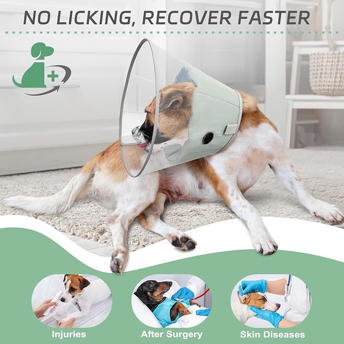Dog Cone Collar for Recovery: Soft Elizabethan Collar Alternative to Stop Licking, Adjustable Pet Cone for Large, Medium, Small Dogs, for Surgery, Spay, Injury, Skin Treatment (Light Green, L)