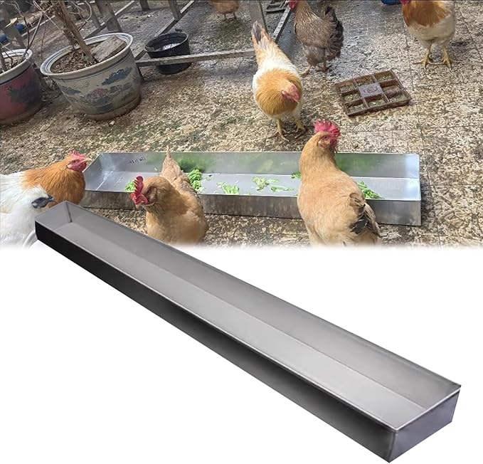 Animal Water Trough Outdoor 8 15 23 35 39 in, Pigeon Chicken Duck Goose Rabbits Hay Feeder, Stainless Steel Small Feeding Trough Set for Livestock/Poultry(H 6cm(2 2/5"),L 30cm (11 4/5"))