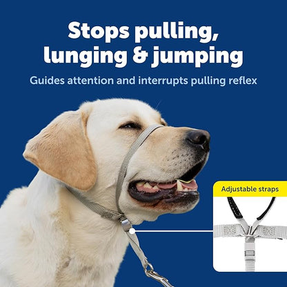 PetSafe Gentle Leader Headcollar - No-Pull Dog Collar for Better Walks - Adjustable for Snout-Specific Fit - Comfortable Head Harness - Large - Silver