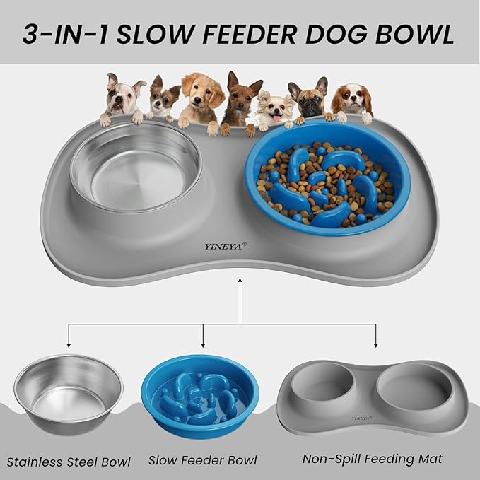 YINEYA Slow Feeder Dog Bowls Stainless Steel Food and Water Bowl Set 3 in 1 No Spill Waterproof Silicone Pet Food Mat Puppy Feeding Station for Large Medium Small Breed Non Slip Metal Dish Tray