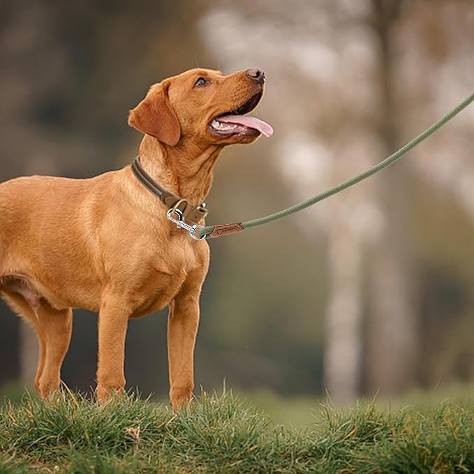 Mile High Life Leather Dog Leash, Heavy Duty Strong Genuine Leather Handle Rope Leash Soft and Comfortable for Small Medium Large Dogs (Olive Green, 60 Inch)
