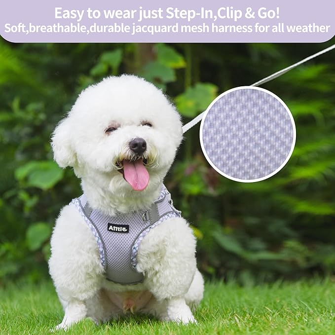 AIITLE Teacup Puppy Harness with Leash - Adjustable Soft Vest with Magic Tape & Reflective Safety Strips, Easy-Put-On for Poodles, Pomeranians - Gym, Hiking, Travel (Purple, S)