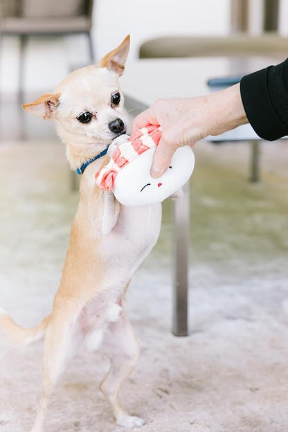 Pearhead Sushi Plush Squeaky Dog Toys – Soft Durable Food-Themed Chew Toys for Small & Medium Dogs, Interactive Plush Dog Toy Set of 3