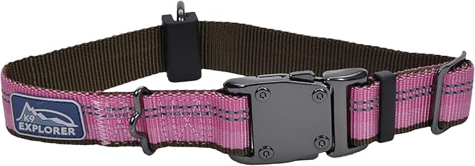 Coastal Pet K9 Explorer Reflective Adjustable Dog Collar - Comfortable Collar for the Outdoors - Durable, Lightweight Accessory with Side-Release Buckle - Berry, 1" x 12-18"