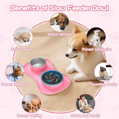 MateeyLife Dog Food and Water Bowl Set 3 in 1, Slow Feeder Dog Bowls & Stainless Steel Water Bowl with Non-Spill Silicone Mat, Cat and Puppy Bowls Pet Dishes for Small Medium Large Breed Anti-Choking