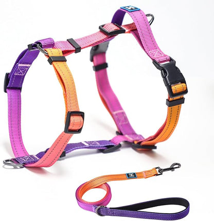 Roses&Poetry Small Dog Harness and Leash Set, No Pull Dog Harness Adjustable Reflective, Dog Halter Harnesses Comfort Padded Handle, Pet Harness for Training Outdoor Walking（Mistyrose-S