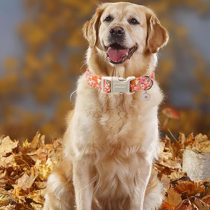 ARING PET Spring Summer Dog Collar, Cute Daisy Wildflower Floral Blossom Pet Collars for Small Medium Large Girl Dogs-S Size