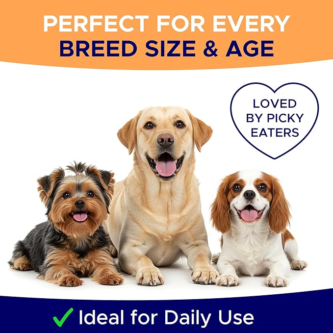 Pumpkin Powder for Dogs - 8oz Powdered Supplement High Fiber for Dogs Stool Softener - Treat Diarrhea, Constipation, Upset Stomach, Food Sensitivity - Improve Digestion - PET_Supplies