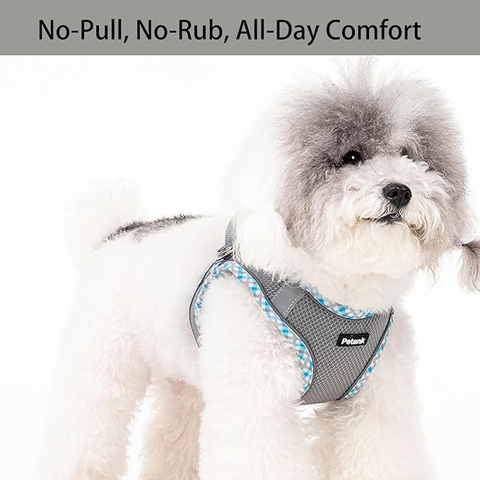 Petank Dog Harness for Small Medium Dogs No Pull, Puppy Harness and Leash Set for Walking, Running, Training, Small Dog Harness, Medium Dog Harness (Grey, XXS)