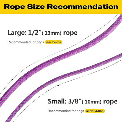 Fida Durable Slip Lead Dog Leash Bulk Pack of 5, Heavy Duty 1/2" x 6 FT Comfortable Strong Rope Slip Lead for Large, Medium Dogs No Pull Pet Training Leash with Highly Reflective, Purple
