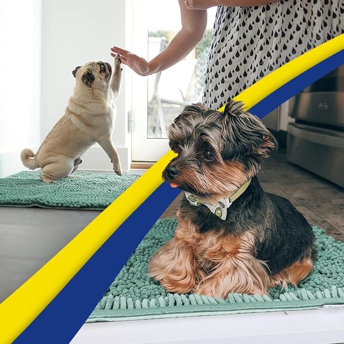 Muddy Mat® | Super Absorbent Door Mat Indoor, Microfiber Quick Dry Chenille Entryway Rug, Non-Slip Front Door Mat, Indoor Mats for Entryway, Machine Washable Pet Rug, Seafoam Green 24" x 96"