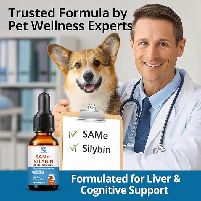 SAMEe for Dogs 500mg Liquid Drops with Silybin – Bacon Liver Flavored Liver Support Supplement for Dogs – S-Adenosyl Methionine & Milk Thistle Extract – 30ml (1oz)