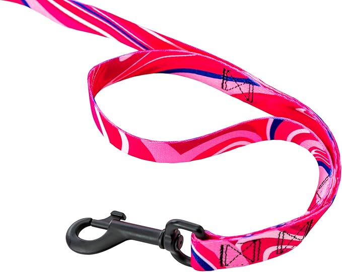 Wolfgang Heavy Duty Dog Leash, Pull-Tested for Walking & Training, MarbleSwirl Print, Dual Handle Large