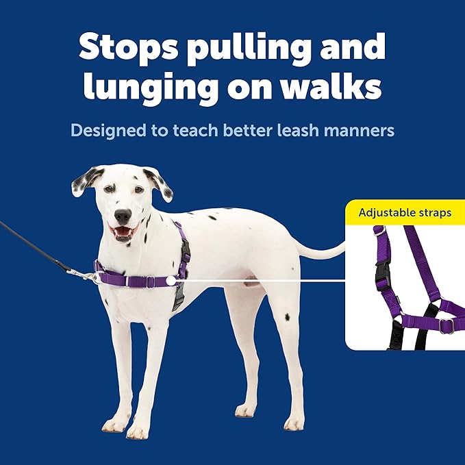 PetSafe Easy Walk Comfort No-Pull Dog Harness - Better Walk Training Harness - Full Body Padded Design - Durable Fabric - 5 Point Adjustable Fit - Everyday Leash Training - Blue - Medium/Large
