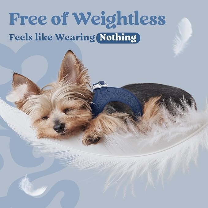 rabbitgoo Small Dog Harness, Step-in Soft Mesh Puppy Vest with Safety Buckle, Breathable Reflective Pet Harness for Small Sized Dogs, Navy Blue XS