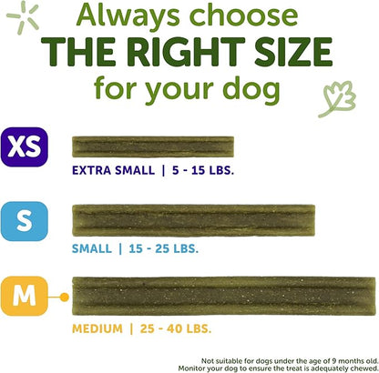 Wellness WHIMZEES Freshzees Dog Dental Treat, Soft Chews, Freshens Breath, Medium Size, 14.81 oz Bag, 14 Count