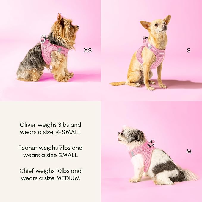 Downtown Pet Supply Step in Dog Harness for Large Dogs - Adjustable, Escape Proof Dog Harness with Reflective Trim - All-Weather, Fast-Drying Padded Mesh Fabric - Tangerine, X-Small