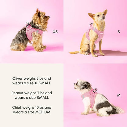 Downtown Pet Supply Step in Dog Harness for Large Dogs - Adjustable, Escape Proof Dog Harness with Reflective Trim - All-Weather, Fast-Drying Padded Mesh Fabric - Tangerine, X-Small