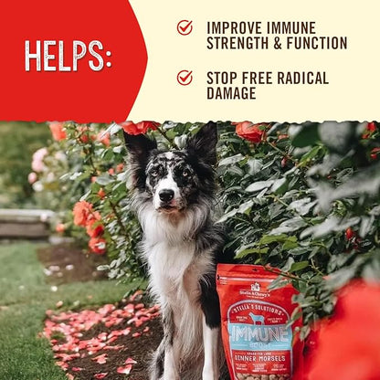 Stella & Chewy's Freeze-Dried Raw Dog Food for Immune Support - Grass-Fed Lamb - Natural Solution for Immune Defense & Overall Wellness - Premium Raw Nutrition - 13oz