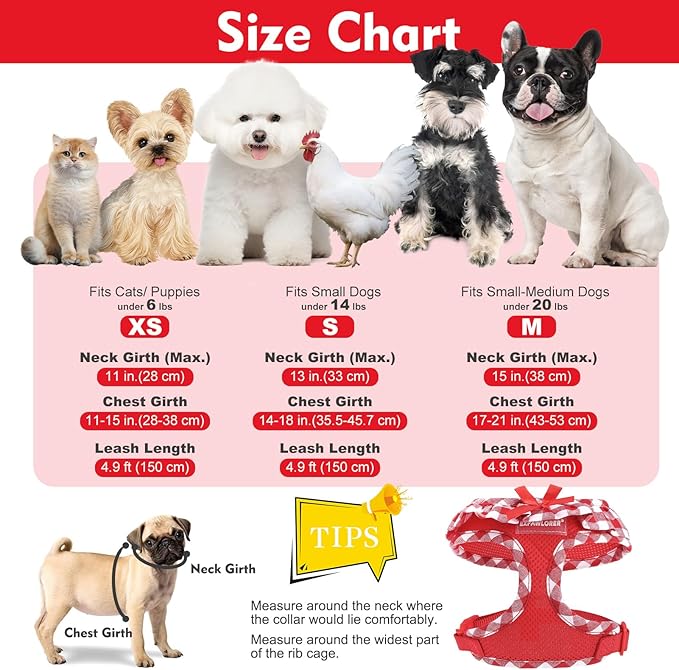 EXPAWLORER Cute Dog Harness and Leash Set - Red Girl Dog Harness Checkered Step-in Design, Easy Adjustable No-Choke Lightweight Breathable Vest for Puppy Small Dogs Cats Outdoor Walking, Small
