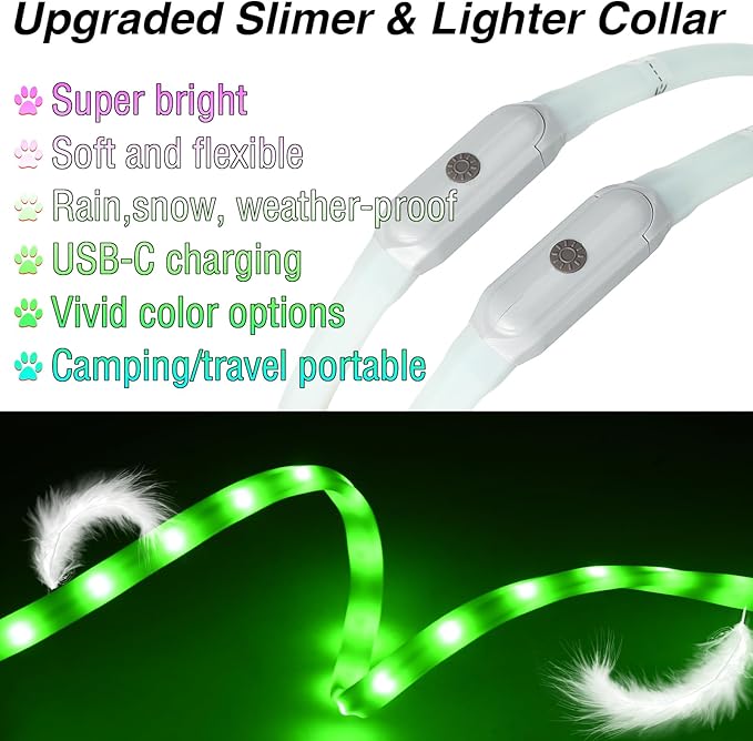 Light Up Dog Collar Multicolor LED USB C Rechargeable, Glow in The Dark Collar for Night Walking, Cuttable for Large Medium Small Dogs Pet (Multicolor Dog Collar)