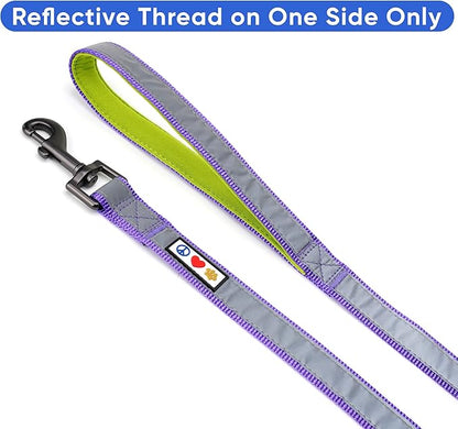 Pawtitas 6 FT Padded Dog Leash with Comfortable Neoprene Padding Handle - Purple Lead | Medium Reflective Dog Leash with Highly Reflective Band Perfect for Medium and Large Dogs and Puppies.