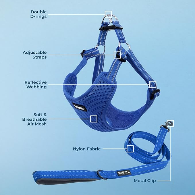 Best Pet Supplies Voyager Adjustable Step-in Flex Breathable Mesh Dog Harness for Small Medium Large Dogs Leash Set (Royal Blue), L