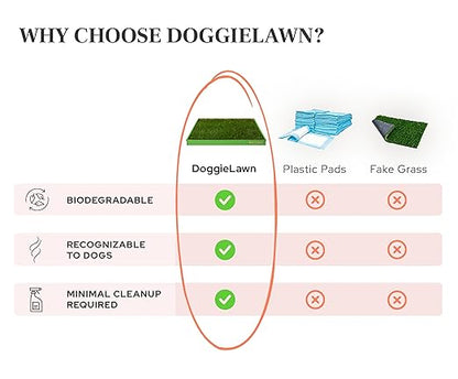 DoggieLawn XL - Real Grass Dog Pee Pad with Built-in Disposable Tray | No Cleaning, Odor-Free | Indoor Outdoor Potty Training for Puppies & Large Dogs | 48" x 24"