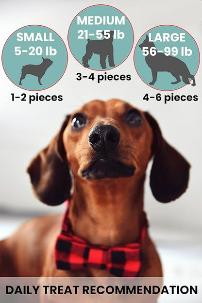 Freeze Dried Bison Liver Dog Treats, Single Ingredient, USA Made, High Protein, Grain Free, All Natural, High-Value Training Treats for Dogs, 6 oz