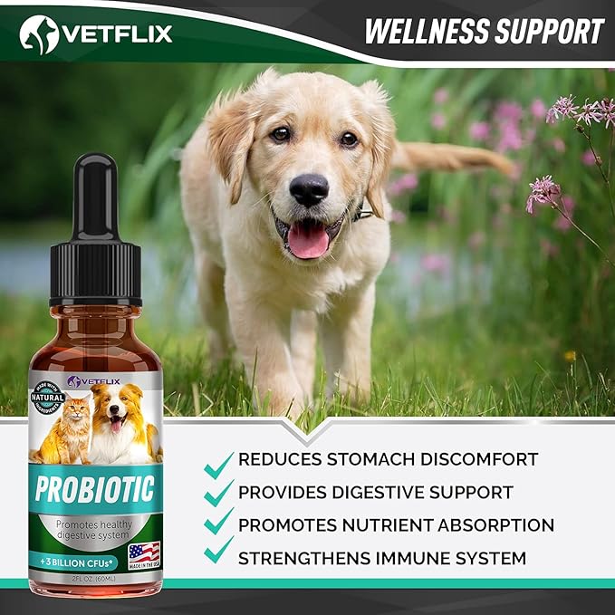 Premium Probiotics for Dogs, Cats, Puppies and Kittens - Digestive Enzymes and Prebiotics Supplement - Supports Digestive Health and Gut Balance - 2 Fl Oz