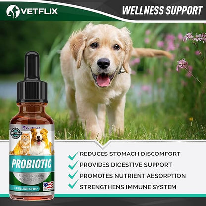 Premium Probiotics for Dogs, Cats, Puppies and Kittens - Digestive Enzymes and Prebiotics Supplement - Supports Digestive Health and Gut Balance - 2 Fl Oz