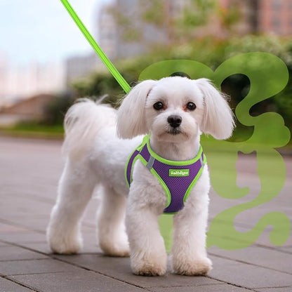 rabbitgoo Dog Harness Small Sized and Leash Set, Step-in Breathable Pet Harness, Soft Walking Reflective Puppy Vest for Small Dogs, Purple & Green, L