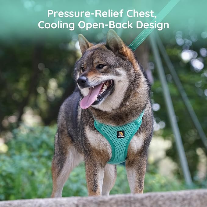 BELLA & PAL Adjustable Step-in Dog Harness, Puppy No-Pull Vest with Leash Set for XS/Small & Medium Dog, Breathable All-Weather Mesh, Reflective Strip, Secure Hook & Loop