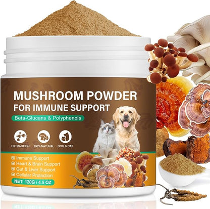 Mushroom Supplement for Dogs & Cats with Turkey Tail - Lipoma for Cats, 11 Blend Wild Mushroom Complex, Immune Support & Digestive Health for Pets - Enhances Liver Function