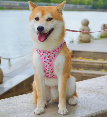Moonpet Step in Valentine's Day Dog Harness Leash Set- All Weather Reflective No-Pull Floral Pattern Padded Mesh Vest Harness for Cats Puppy Extra-Small Small Medium Large Dogs - Heart Rose - M