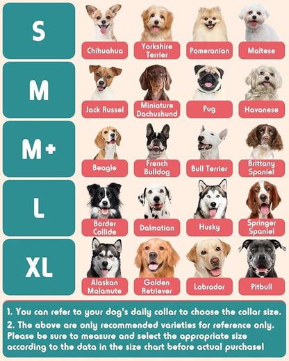 Inflatable Dog Pillow Cone Collar After Surgery, Donut Soft Neck Cone for Chihuahua Pomeranian Small Dogs, etc, Recovery E Collar to Stop Licking Pink Donut